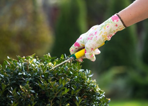 Gardeners Enfield Lock team introducing local garden care services