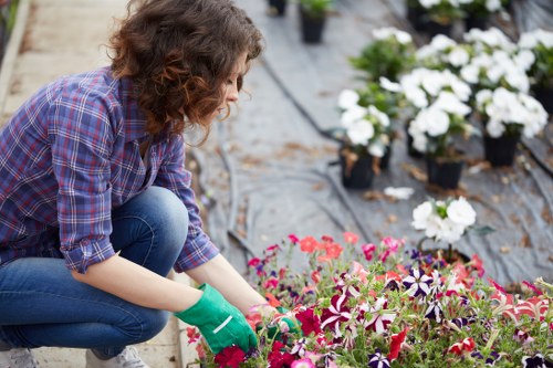 Professional garden upkeep for a well-kept Enfield Lock property