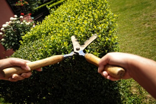 Professional garden waste removal and tidy outdoor space in Enfield Lock