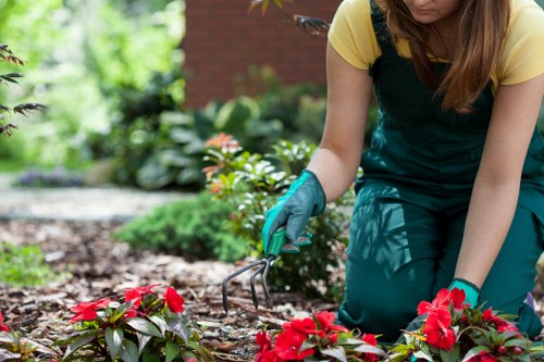 Modern garden lighting and paving for landscaping in Enfield Lock