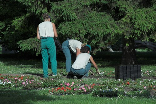 Modern landscape gardening features for an Enfield Lock home