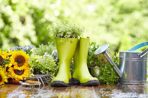 Garden clearance and tidy-up services in Enfield Lock for improved curb appeal