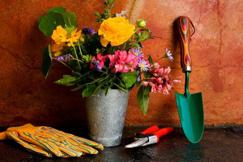 Explaining a gardening service concern in a professional way