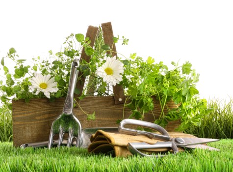 Low-carbon van used for eco-friendly gardening services in Enfield Lock