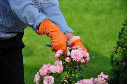 Autumn garden maintenance with leaf clearance in Enfield Lock