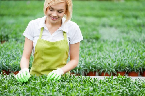 Garden planning and soft landscaping in Enfield Lock