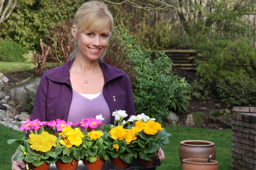 Seasonal planting and lawn maintenance by Enfield Lock gardeners