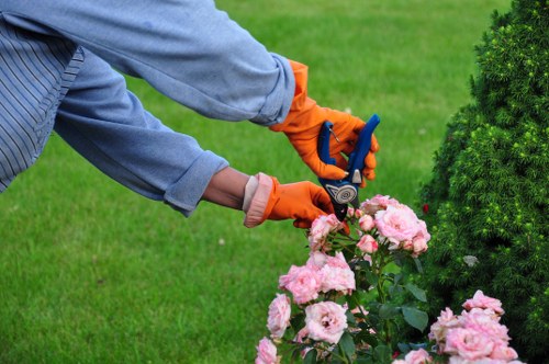 Lawn maintenance and pruning services for homes in Enfield Lock