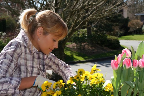 Seasonal lawn care and mowing in Enfield Lock
