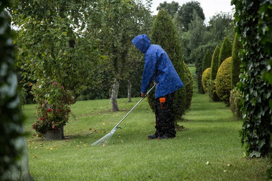 A gardener wearing a blue waterproof jacket and black trousers is tending to a neatly kept garden while using a rake to collect fallen leaves on a lush green lawn. The garden features a variety of wel