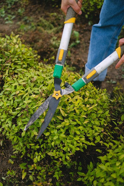 A gardener wearing a blue waterproof jacket and black trousers is tending to a neatly kept garden while using a rake to collect fallen leaves on a lush green lawn. The garden features a variety of wel